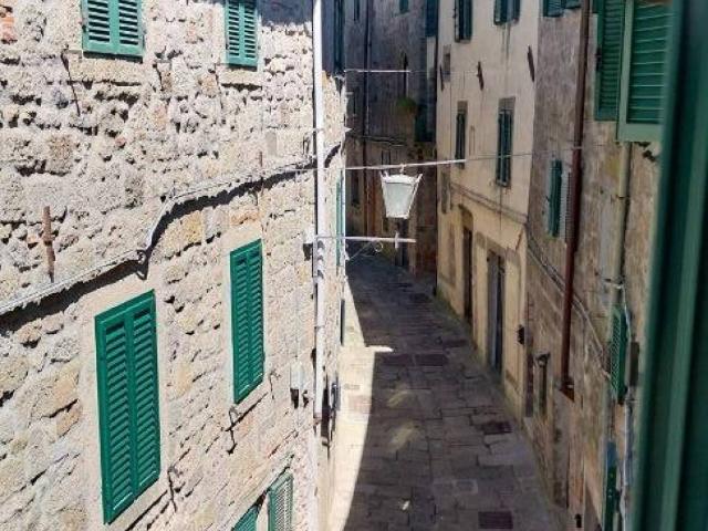 Appartamento in vendita a Santa Fiora GR