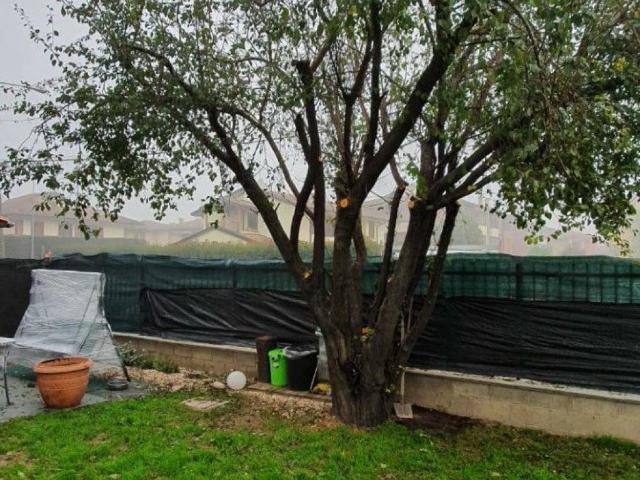 Appartamento in vendita a Sant'Alessio con Vialone PV