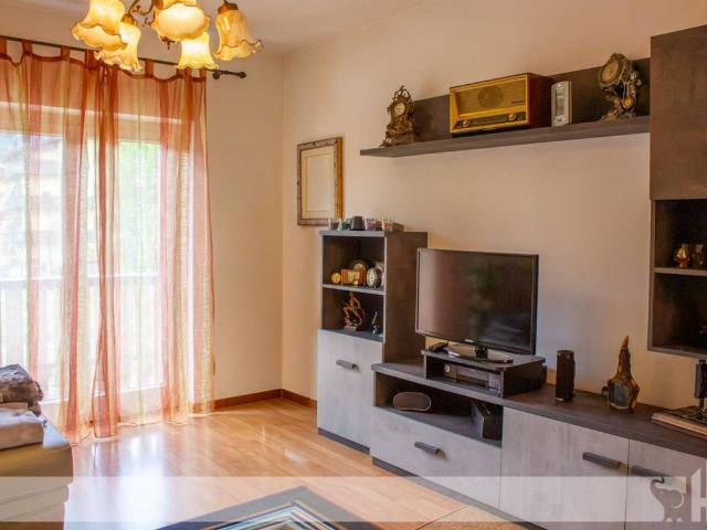 Appartamento in vendita a Santo Stefano di Cadore BL