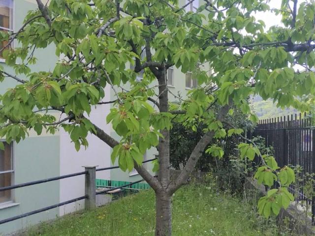 Appartamento in vendita a Sant'Olcese GE
