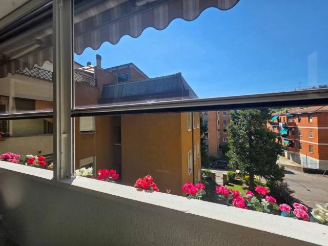 Appartamento in vendita a Sasso Marconi BO