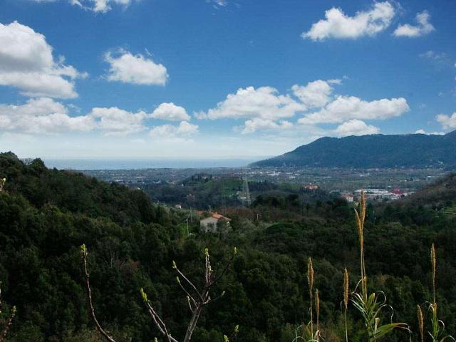 Appartamento in vendita a Sarzana