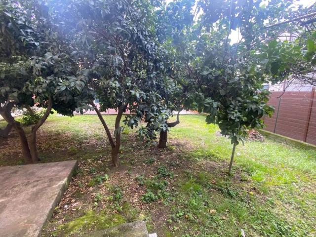 Appartamento in vendita a Sarzana SP