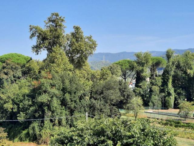 Appartamento in vendita a Sarzana SP