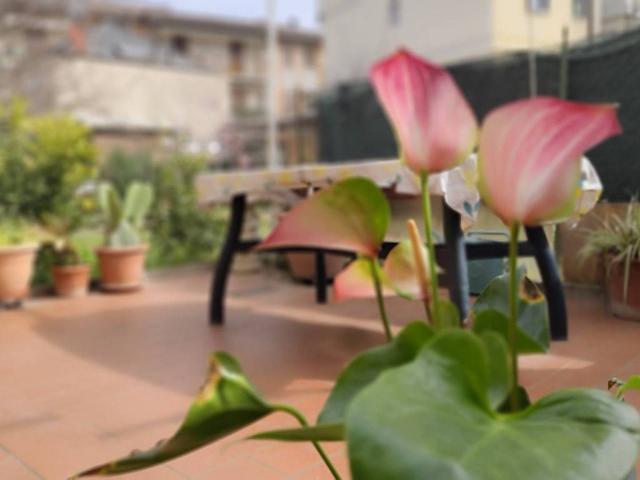 Appartamento in vendita a Scandicci FI