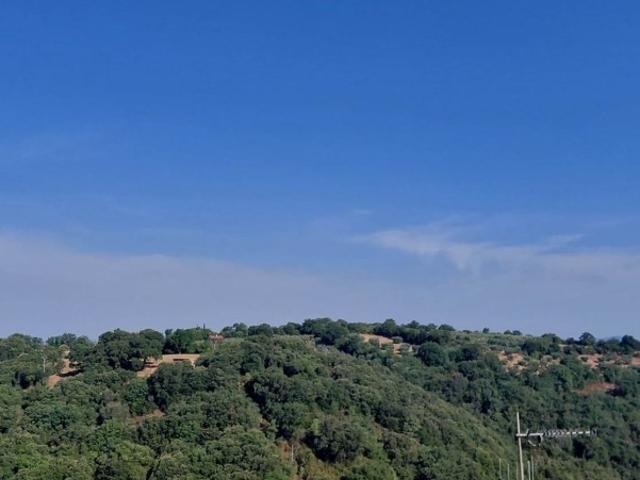 Appartamento in vendita a Scansano, Montorgiali
