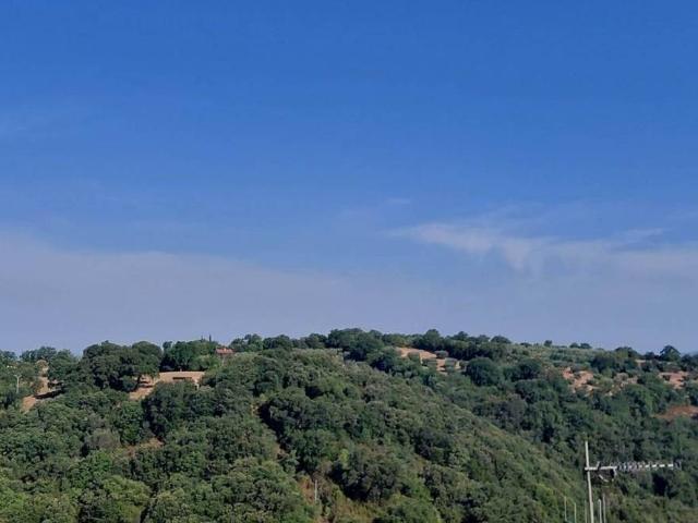 Appartamento in vendita a Scansano GR