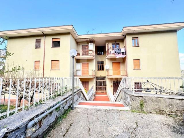 Appartamento in vendita a Segni RM