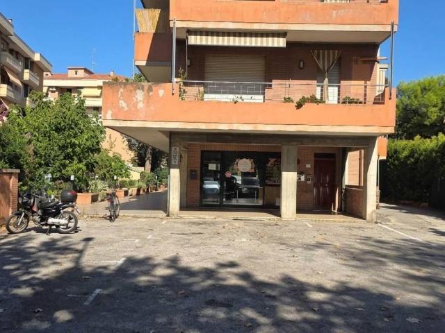 Appartamento in vendita a Senigallia AN
