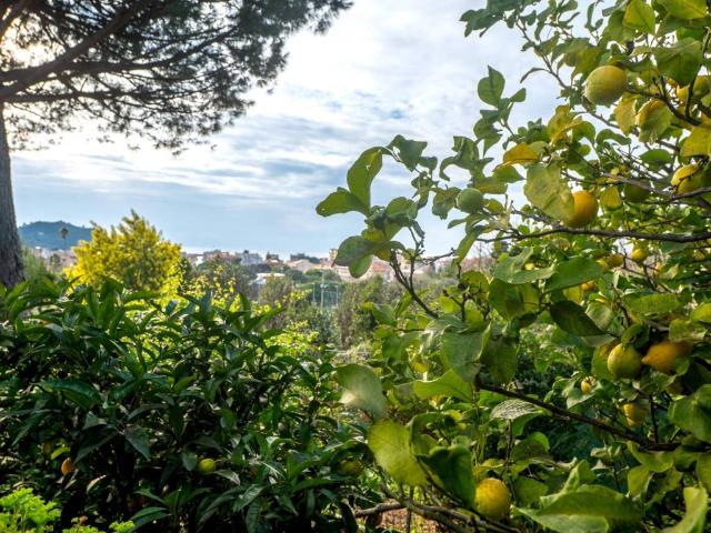 Appartamento in vendita a Sestri Levante GE