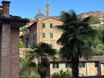 Appartamento in vendita a Siena SI