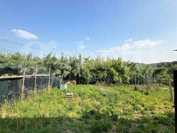 Appartamento in vendita a Siena SI