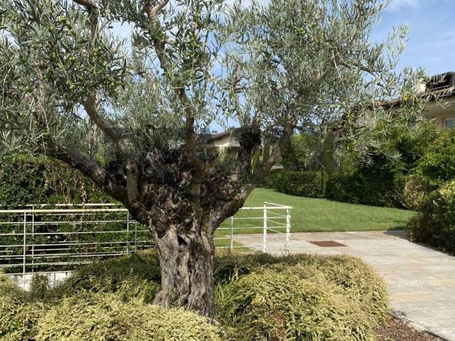 Appartamento in vendita a Sirmione BS