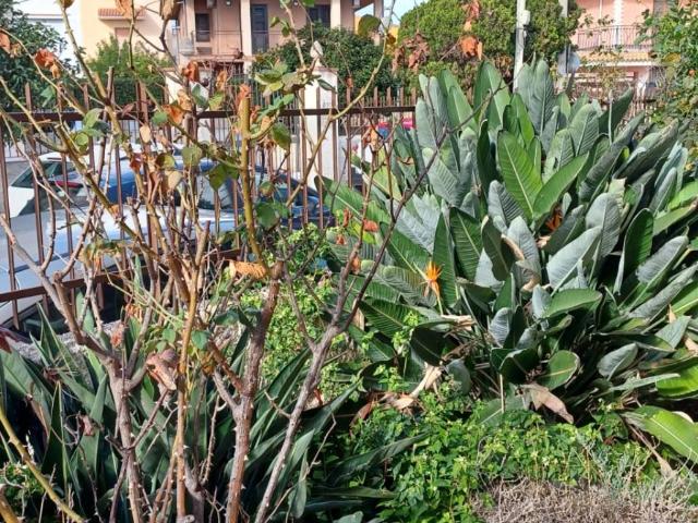 Appartamento in vendita a Siracusa SR