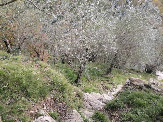 Appartamento in vendita a Sori GE
