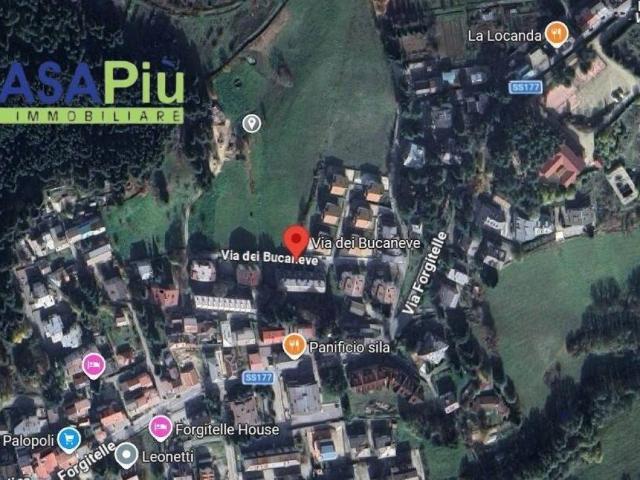 Appartamento in vendita a Spezzano della Sila CS
