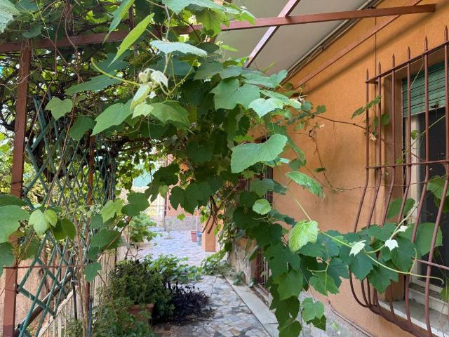 Appartamento in vendita a Spotorno SV