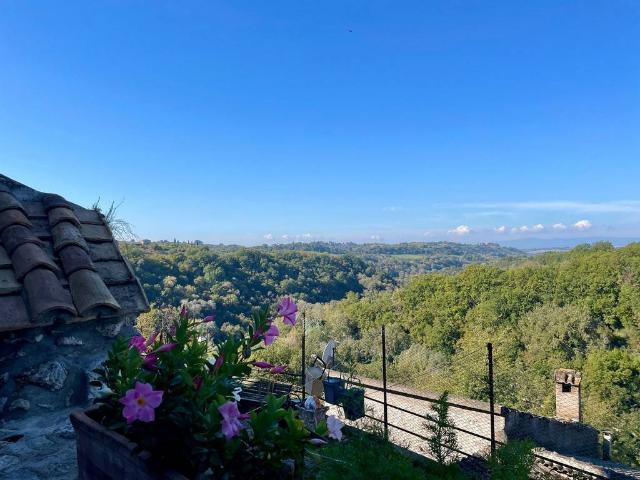 Casa indipendente in vendita a Tarano RI