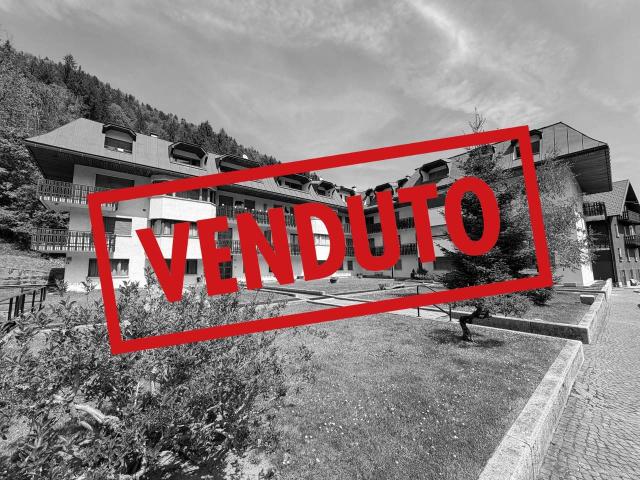 Appartamento in vendita a Tarvisio