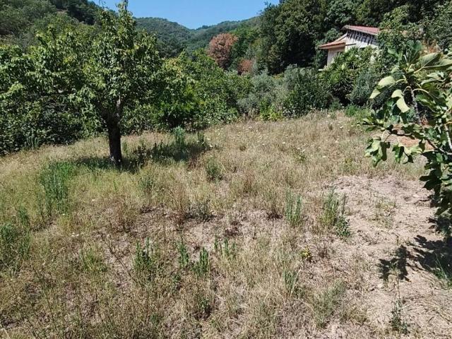 Appartamento in vendita a Teano CE