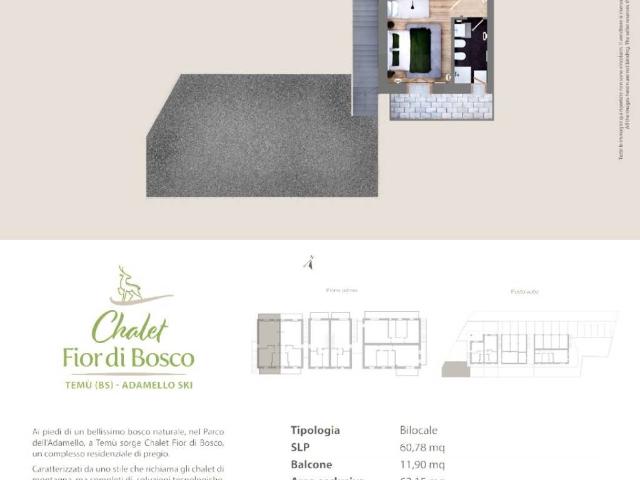 Appartamento in vendita a Temù BS