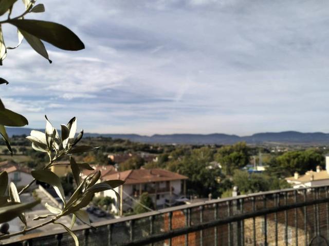 Appartamento in vendita a Terni TR