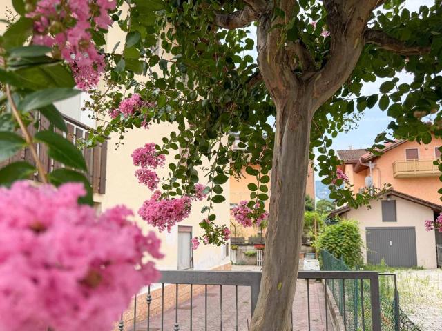 Appartamento in vendita a Terre d'Adige TN