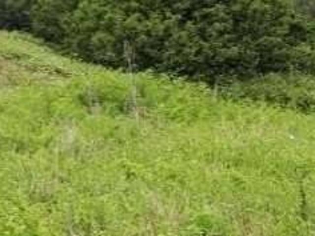 Appartamento in vendita a Terricciola PI