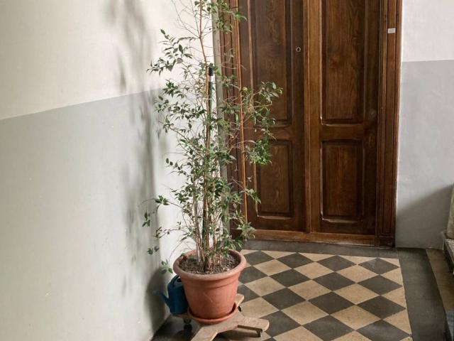 Appartamento in vendita a Torino TO