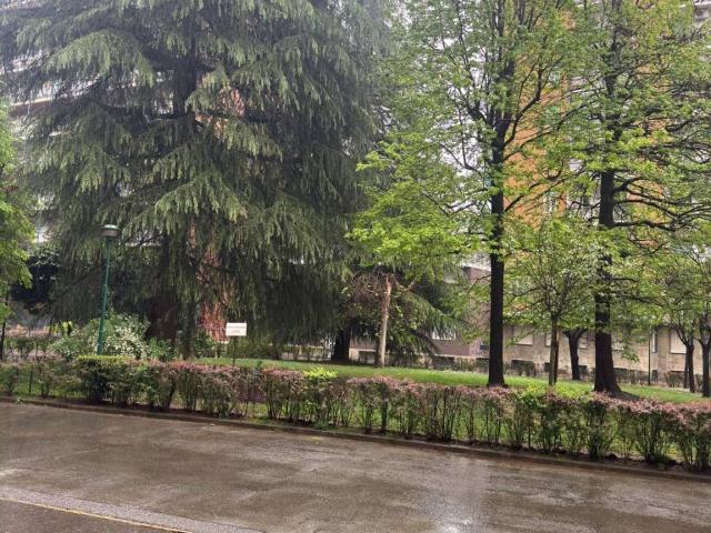 Appartamento in vendita a Torino TO