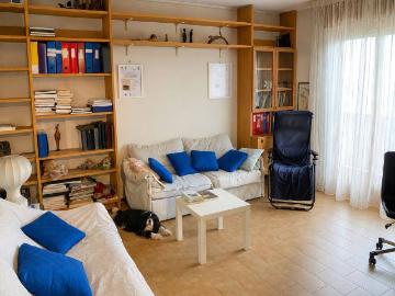 Appartamento in vendita a Torrile PR