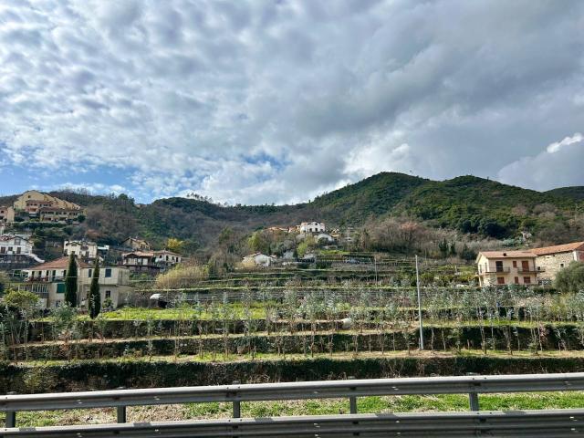 Appartamento in vendita a Tovo San Giacomo