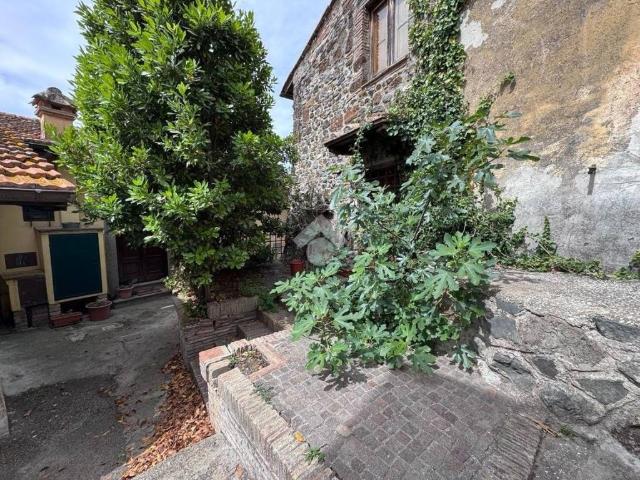 Appartamento in vendita a Trevignano Romano RM