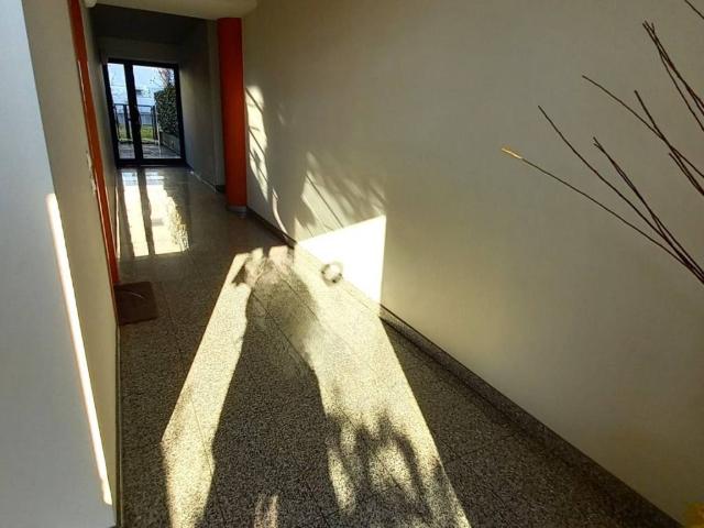 Appartamento in vendita a Treviglio BG