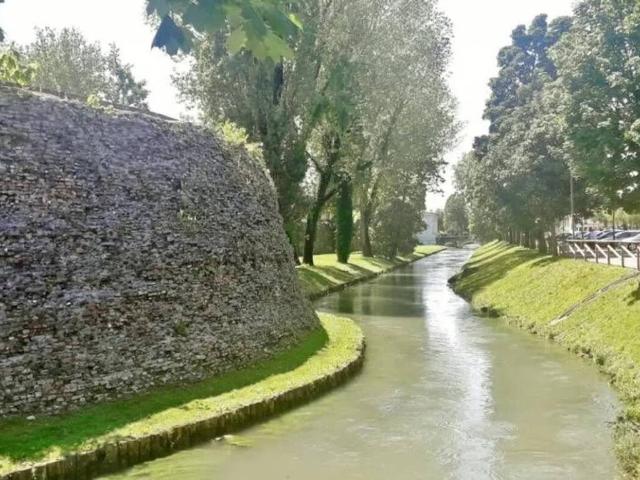 Appartamento in vendita a Treviso TV