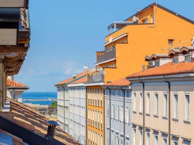 Appartamento in vendita a Trieste TS