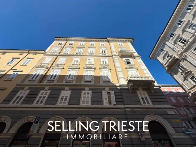 Appartamento in vendita a Trieste TS