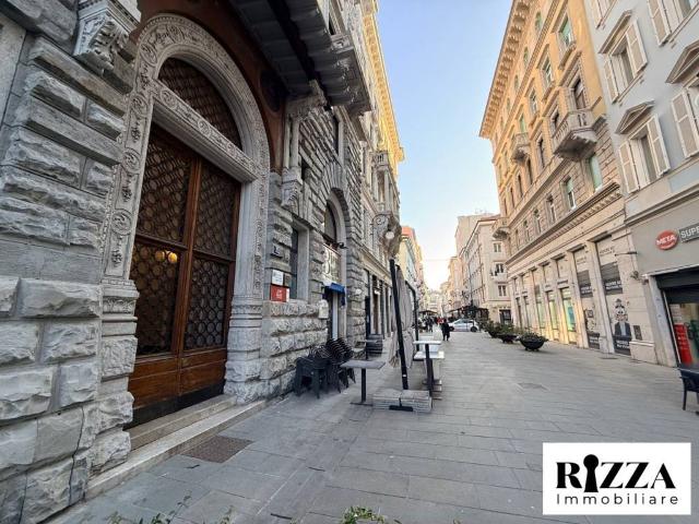 Appartamento in vendita a Trieste TS