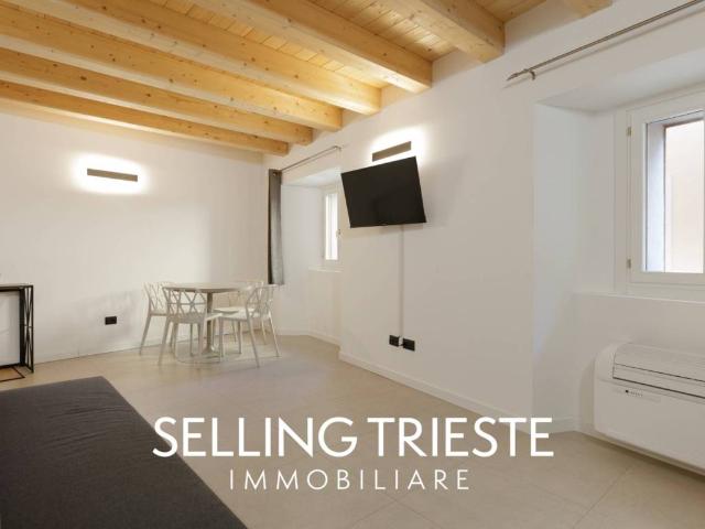 Appartamento in vendita a Trieste TS