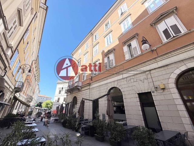 Appartamento in vendita a Trieste TS