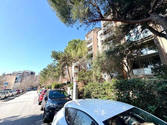 Appartamento in vendita a Trieste TS