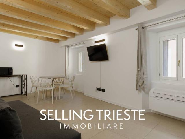 Appartamento in vendita a Trieste TS