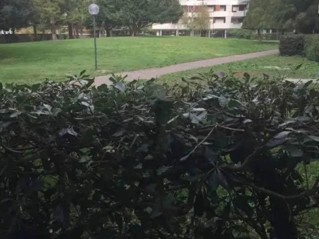 Appartamento in vendita a Udine UD