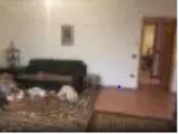 Appartamento in vendita a Urbino PU