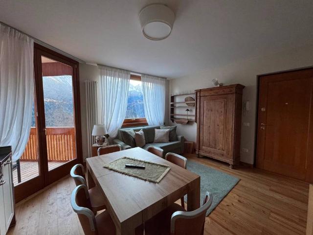 Appartamento in vendita a Valle di Cadore BL