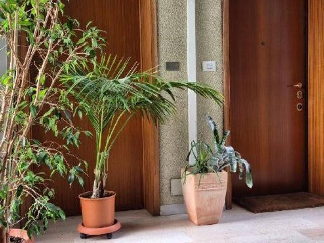 Appartamento in vendita a Varallo VC
