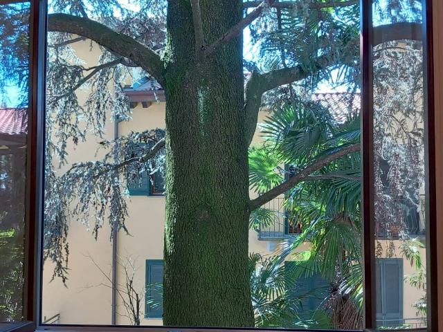 Appartamento in vendita a Varese VA