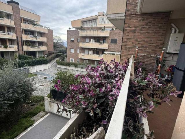 Appartamento in vendita a Velletri RM