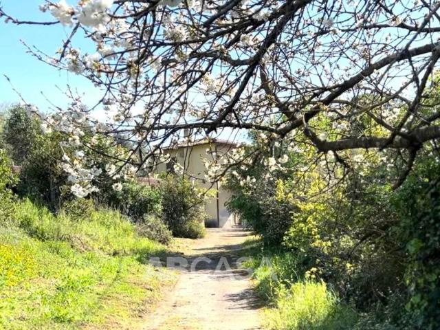 Appartamento in vendita a Velletri RM