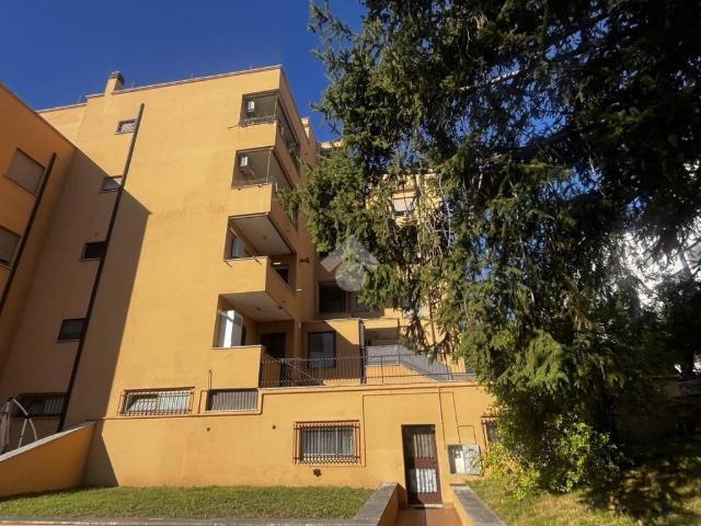 Appartamento in vendita a Velletri RM